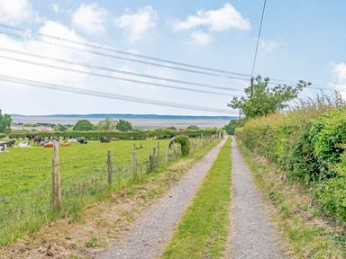 A dirt road with grass in the middle running alongside a fenced pasture with cows and bushes at Ewe Two in Oakenholt near Northop
