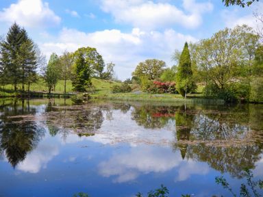 A pond with trees and flowering bushes around it under a partly cloudy sky