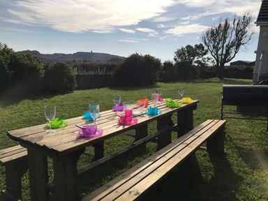 A wooden picnic table with colorful plastic bowls and glasses on a green lawn with bushes and a tree at Rhos Helyg Penysarn near Amlwch