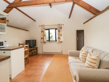 A living room with a sofa and cushions a window with curtains a television on a stand and wooden ceiling beams at Nestling Barn Peter Tavy near Tavistock