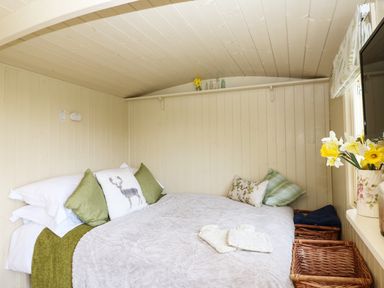 A bedroom with a bed with green and patterned cushions beside a window with flowers in a vase at Bramble Burlawn near Wadebridge