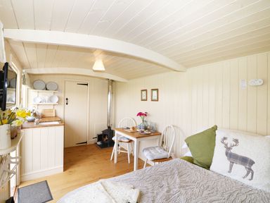 A small living space with a bed, table with two chairs, a wood stove, and kitchen counter at Bramble Burlawn near Wadebridge