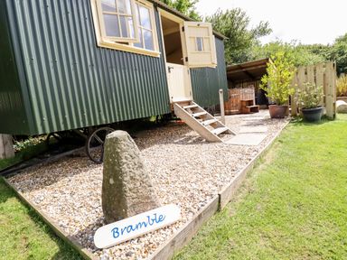 A green corrugated metal shed with stairs and open windows on a gravel area with plants and grass at Bramble Burlawn near Wadebridge
