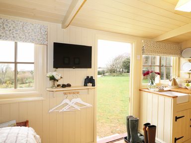 A small room with a wall-mounted TV flowers on shelves and a kitchen sink next to an open door at Willow Burlawn near Wadebridge