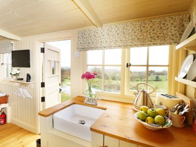 A kitchen corner with a sink, flowers in a vase, a kettle, toaster, and bowl of apples at Willow in Burlawn near Wadebridge
