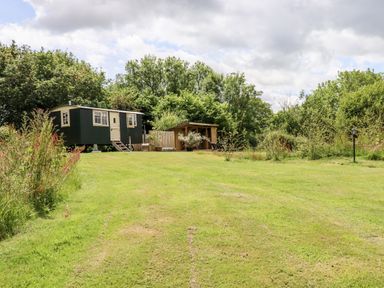 A grassy yard with a small dark green shed on wheels and a wooden shelter surrounded by trees at Willow Burlawn near Wadebridge