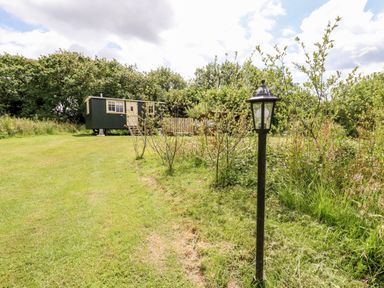 A grassy outdoor area with a small dark green cabin surrounded by trees and bushes at Willow Burlawn near Wadebridge