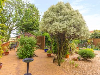 A garden with wooden decking and various plants and trees at Estuary View in Warkworth