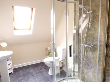 A bathroom with a toilet shower and sink under a skylight window at Penylodge in Builth Wells