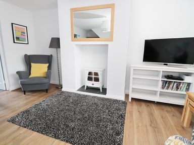 A living room with a grey armchair with a yellow cushion a floor lamp a mirror a white electric fireplace a television on a white cabinet and a black and white rug at Sunnie Cottage in Seahouses