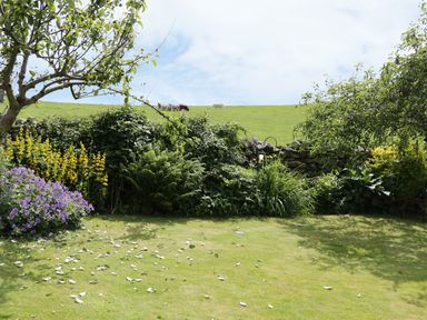A garden with grass and flowers and trees with sheep grazing on a hill in the background at Waingate Cottage in Flookburgh
