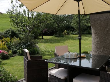 A garden with green grass trees and outdoor table with cups and an umbrella at Waingate Cottage in Flookburgh