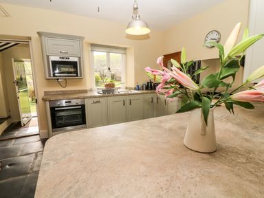 A kitchen with a countertop vase of flowers oven cabinets window and clock at Waingate Cottage in Flookburgh