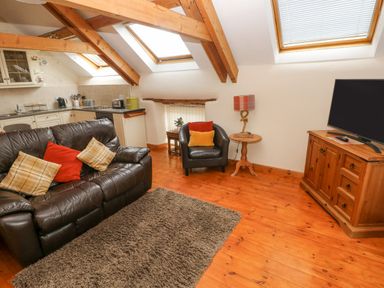 A living space with a brown leather sofa and armchair with cushions under skylights next to a wooden cabinet with a TV at Y Cartws in Nevern near Cardigan