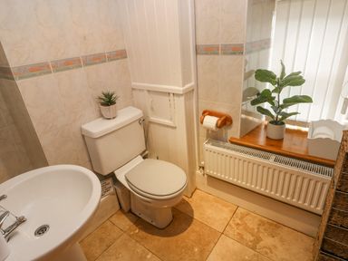 A bathroom with a toilet a sink a plant on the toilet tank a plant on the windowsill and a radiator below the window at Y Cartws in Nevern near Cardigan