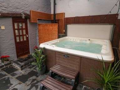 An indoor hot tub with water and steps beside a wooden door and plants at Y Cartws in Nevern near Cardigan
