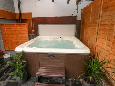 An indoor hot tub with water jets surrounded by wooden panels and two potted plants at Y Cartws in Nevern near Cardigan