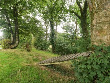 A small wooden bridge in a forested area with grass and trees at Y Cartws in Nevern near Cardigan