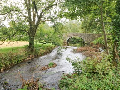 A stone arch bridge over a flowing river surrounded by trees and greenery at Y Cartws in Nevern near Cardigan