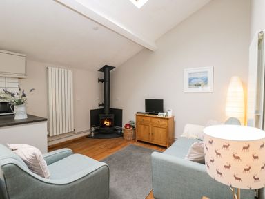 A small living room with two blue armchairs a wooden cabinet with a small TV a wood-burning stove and a floor lamp at Bower Coach House in Bower Hinton near Martock