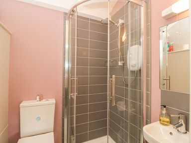 A bathroom with a shower enclosure toilet sink and mirror at Bower Coach House in Bower Hinton near Martock