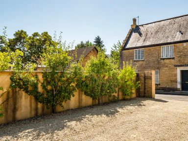 An outdoor view of trees and a house at East Wing in Crewkerne