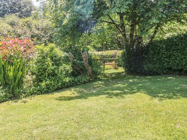 A garden with green grass surrounded by trees bushes and a small wooden fence at Meadow Lea in Pensilva near Liskeard