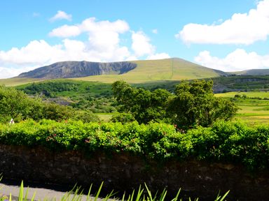 Green hills and trees with a stone wall and flowering bushes in the foreground at 60 Hyfrydle Road Talysarn near Caernarfon