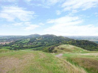 A hilly landscape with green fields and scattered trees under a blue sky