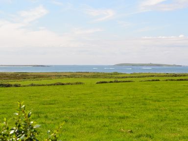 A green field with bushes and a body of water in the background at Flynns Cottage in Quilty County Clare