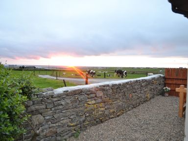 A stone wall with a wooden gate overlooking a grassy field with cows at Flynn's Cottage in Quilty County Clare