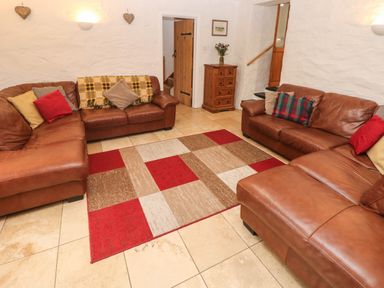 A living room with brown leather sofas and a multicolored rug at Ty Llwyd in Nevern near Cardigan