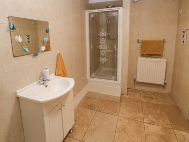 A bathroom with a white sink cabinet mirror shower stall and radiator at Ty Llwyd in Nevern near Cardigan