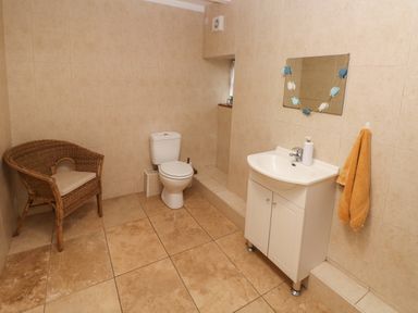 A bathroom with a toilet a wicker chair a sink with cabinet and a mirror at Ty Llwyd Nevern near Cardigan