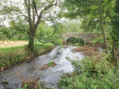 A stone arch bridge over a stream with trees and bushes around at Ty Llwyd in Nevern near Cardigan