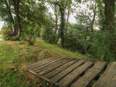 A wooden platform next to a grassy area with trees and a rope swing at Ty Llwyd in Nevern near Cardigan