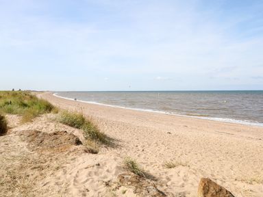 A sandy beach with grass and rocks near the shore and the sea at Carrstone Cottage in Heacham