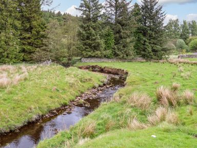 A small creek flowing through grassy land with trees and a stone wall in the background at Gallow Law Cottage in Bellingham