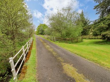 A narrow paved road with white fences on one side and wooden fences on the other surrounded by green grass and trees at Gallow Law Cottage in Bellingham