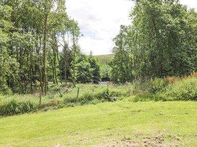 A grassy area with trees and a small creek in the background at Shepherds Burn Cottage in Bellingham
