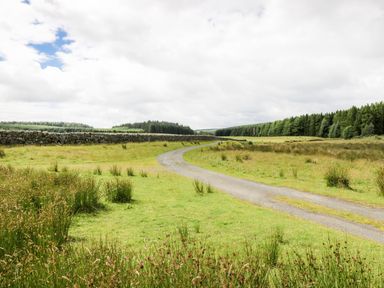 A winding gravel path through a grassy field bordered by a stone wall and trees at Shepherds Burn Cottage in Bellingham