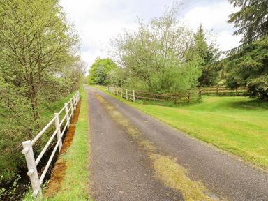 A narrow road with white railings and trees along the sides at Shepherds Burn Cottage in Bellingham