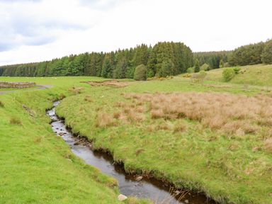 A small stream flowing through grassy fields with a forest in the background at Shepherds Burn Cottage in Bellingham