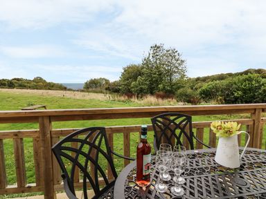 A patio table with a bottle of wine, four wine glasses, and a jug with flowers on a wooden deck overlooking a grassy field and trees at Keepers Cottage in Sidmouth