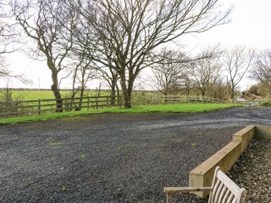 A gravel driveway with a wooden bench a row of leafless trees and a wooden fence at Rosies Cottage in Bushmills County Antrim