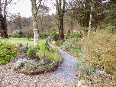 A garden pathway surrounded by bushes trees and flowering plants at Rhydlandgoed Stepaside near Saundersfoot