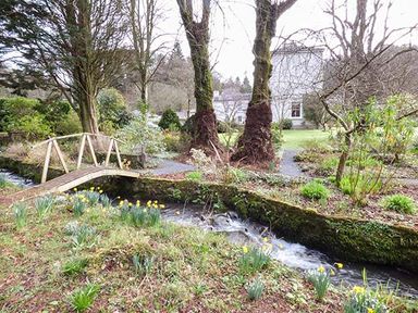 A garden with a small wooden bridge over a stream and trees near a white house at Rhydlandgoed Stepaside near Saundersfoot