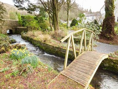 A small wooden bridge over a stream with daffodils and trees at Rhydlandgoed in Stepaside near Saundersfoot