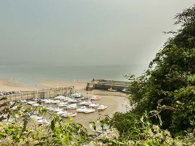 A harbor with boats docked and green foliage in the foreground at Rhydlandgoed Seaside near Saundersfoot