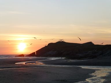 A beach at sunset with birds flying over rocks and a stream of water flowing across the sand at Sunset View in Porth